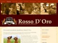 Питомник родезийских риджбеков в нижнем новгороде | Rosso D`Oro | купить щенка родезийского риджбека