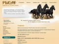 Продажа товаров для всадников и лошадей РЫСАК г. Новосибирск