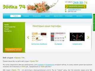 Веб-студия «Эрика 74». Веб-студия Челябиск, Веб-студия Москва