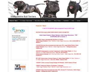 Staffordshire Bull Terriers - в Северодвинске