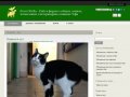 Zveri-Ufa.Ru - Сайт и форум о собаках, кошках, зоомагазинах и ветеринарных клиниках Уфы