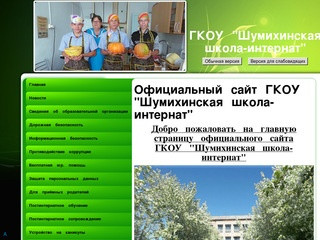 Официальный сайт ГКОУ "Шумихинская школа-интернат"