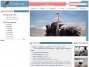 Страусы, птенцы страусов, разведение и выращивание страусов, продажа страусов в Краснодарском Крае