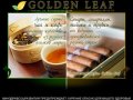 Golden Leaf