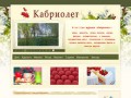 "Кабриолет Краснодар" - женский on-line журнал