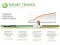 Технология торгов. Торговая стратегия Targettrades Ваш путь к успеху.