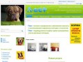 Лечение животных – Л-вет Ветеринарная клиника Сергиев Посад