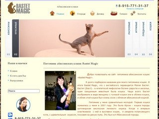 Питомник абиссинских кошек Bastet Magic