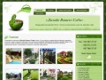 Ландшафтный дизайн ФОТО, озеленение участка в Киеве