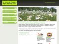 Сайт в память о деревне Долговерясы