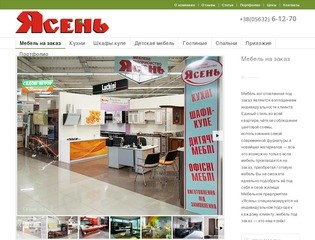 Корпусная мебель на заказ в Днепропетровске - «Ясень»
