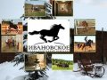 Конный клуб Ивановское - постой лошадей, конный спорт и отдых.