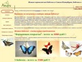 Живые бабочки в подарок на 8 марта!| Компания Анири