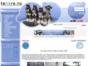 Питомник цвергшнауцеров "Таффира"