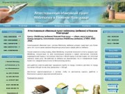 WebMoney (ВебМани) — аттестованный обменный центр webmoney вебмани в Нижнем Новгороде