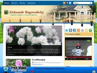 Блог Александра Богородицкого