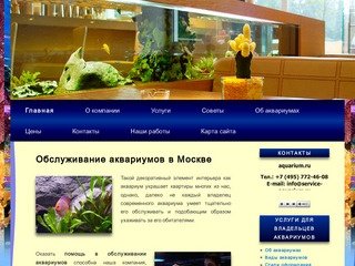 Обслуживание аквариумов в Москве | Профессиональные услуги по чистке и обслуживанию аквариума