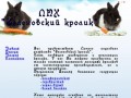 Разведение кроликов в Омске