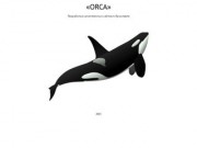 Orca