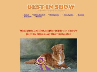 Профессиональный Хендлер Бест ин Шоу  г.Нижний Новгород.Полный спектр услуг для вашей собаки