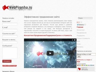 WebPiranha | Продвижение сайта в Краснодаре | Раскрутка сайта в Краснодаре