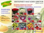 Городские цветы - первый интернет магазин цветов в Улан-Удэ