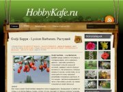 HobbyKafe.ru, город Екатеринбург