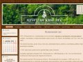Сайт компании ООО Пензенский лес