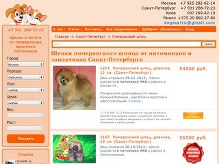 Померанский шпиц | Щенки шпица от питомника | Продажа щенков шпица | Купить щенка шпица спб