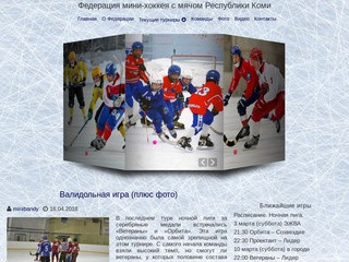 Федерация мини-хоккея с мячом Республики Коми