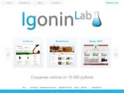 IgoninLab - разработка сайтов | Создание сайтов в  Ульяновске