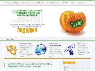 Создание сайтов в Люберцах, Раменском, Жуковском, Лыткарино. Обслуживание