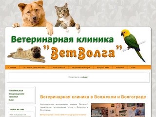 Ветеринарная клиника Волжский ветеринария ветлечебница Волгоград