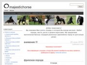 MajesticHorse | Продажа лошадей в Новосибирске