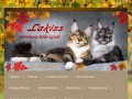 Питомник мейн кунов Лакисс (LAKISS)  в Новосибирске,продажа котят мейн кун