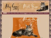 MyCoon (Мой Кун) - Питомник кошек породы Мейн-кун (Maine Coon)