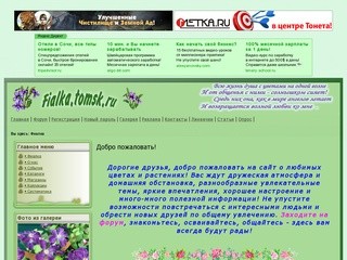 «Фиалка» (fialka.tomsk.ru)