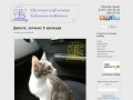 Уфимский клуб помощи бездомным животным | Помощь бездомным животным г. Уфа