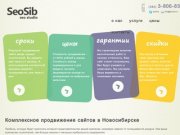 Поисковое seo продвижение сайтов и раскрутка сайтов в Новосибирске от компании "СеоСиб"