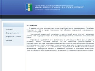 ГАУЗ Медицинский информационно-аналитический центр Нижнекамского муниципального района