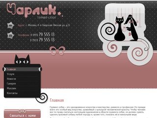 Стрижка собак и кошек Груминг  салон - ЧАРЛИК  товары для собак и кошек
