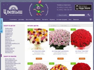 Доставка цветов по Москве недорого, заказ цветов и букетов с доставкой по Москве