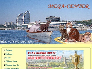 Клуб любителей кошек. кошки в Волгограде, MEGA-FELINE-CENTER, мега центр, котята, выставки кошек,