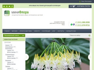 Посадочный материал редких коллекционных растений - МиниФлора