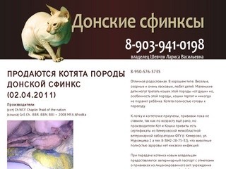 Продажа донских сфинксов в Кемерово