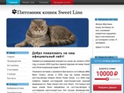 Питомник кошек Sweet Line -  Купить кошку в Барнауле