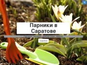 Парники в Саратове