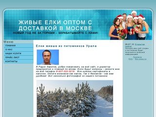 Елки живые недорого оптом в Москве | elok-net.ru