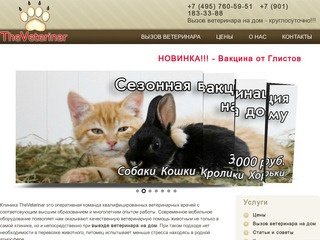 TheVeterinar Ветеринары на дом круглосуточно. Сеть клиник