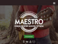 Maestro - школа игры на гитаре в Брянске для детей и взрослых